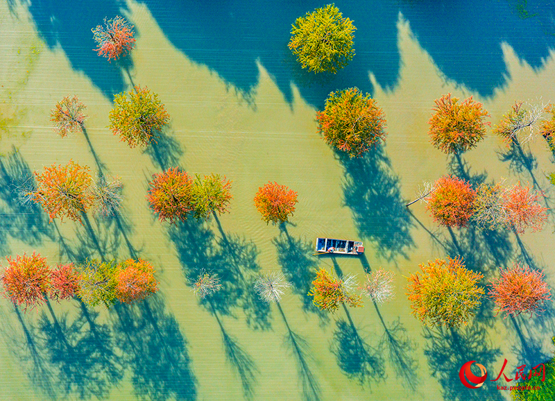 Цзянсу өлкесінің Сыхун ауданындағы орманды көл сызған суреттен аумайды