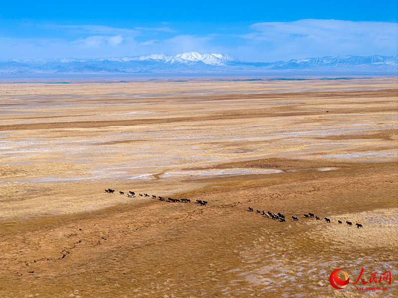 Ганьсу өлкесі Ақсай ауданындағы күздің келбеті