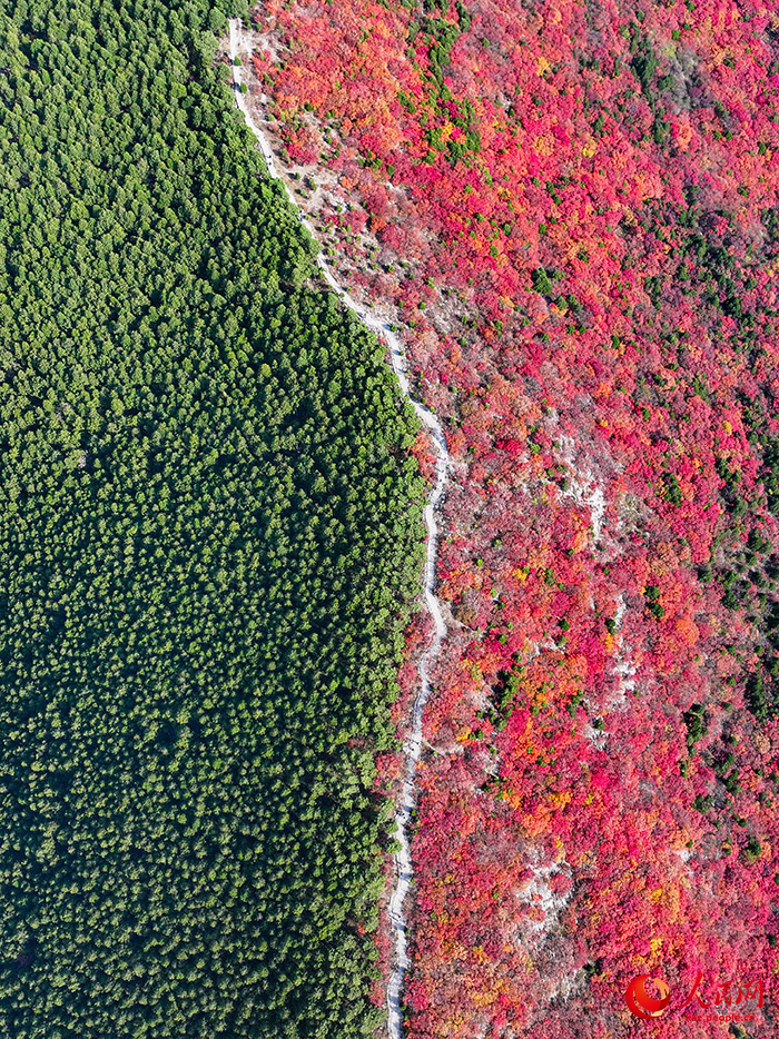 Шаньдун өлкесінің Цзинань өңірінде бір тау қос түске боялды