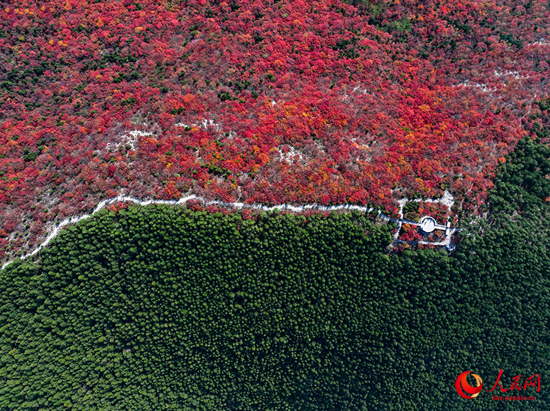 Шаньдун өлкесінің Цзинань өңірінде бір тау қос түске боялды