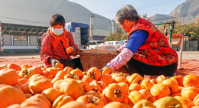 Күзгі мол өнімнің көрінісі