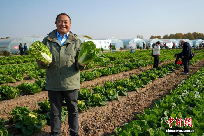 Чжэнчжоу тұқым өнеркәсібі көрмесінде 6000-нан астам жаңа және тамаша сорттар көрсетілді