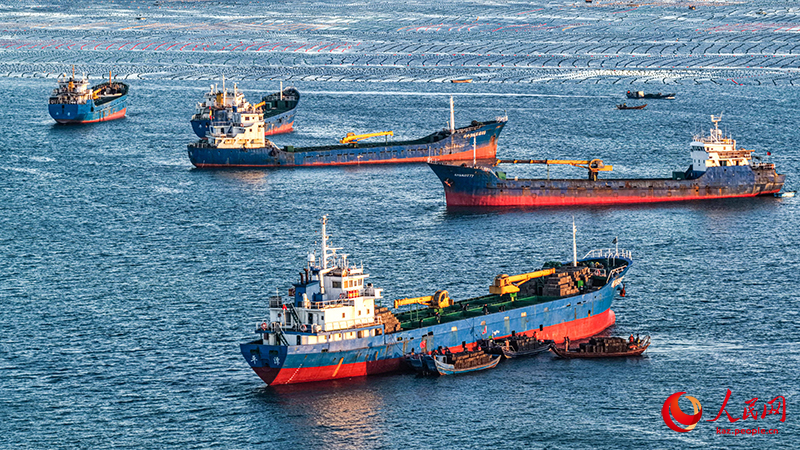 Шаньдун Жунчэн қаласында 12 миллион абалон балығы оңтүстіктегі «қыстауға» бет алды
