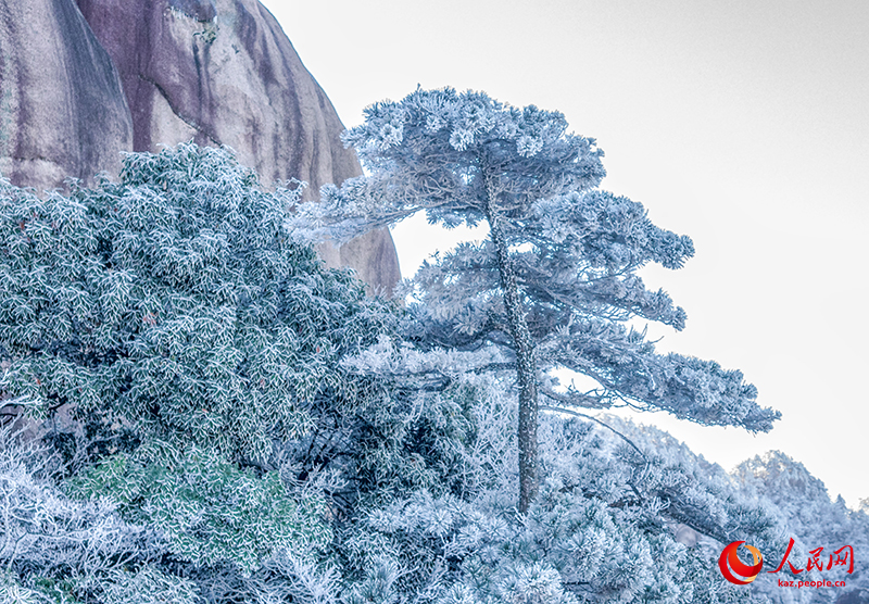 Туристер Аньхой өлкесі Чичжоу қаласы Цзюхуашань тауындағы қырауды тамашалады