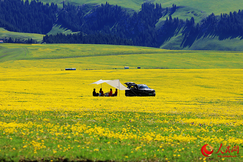 2025 жылдың алғашқы 10 айында Шыңжаң 299 миллион турист қабылдады