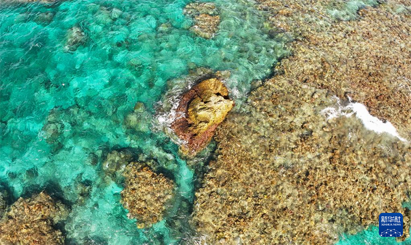 Оңтүстік Қытай теңізінің көркі көз тартады