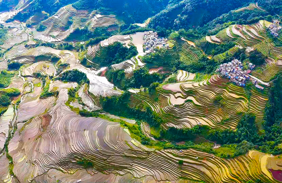 Қыста ғана болатын көрініс! Юньнаньның Лагу сатылы атызындағы табиғат суреті