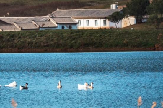 Юньнань Лицзян жайылымдары бейне жерұйық секілді