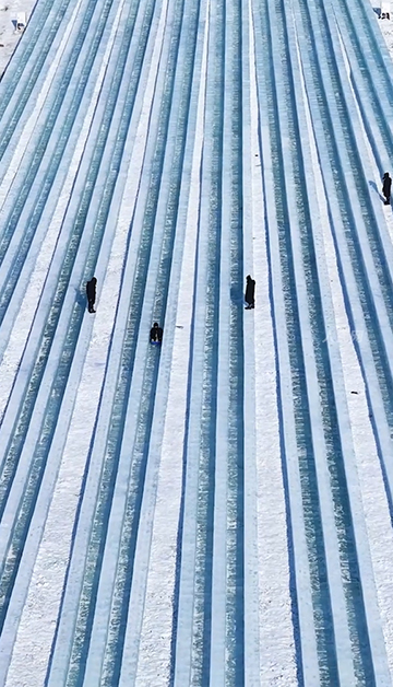 Харбинь Қар-мұз әлеміндегі «Супер сырғанақтың» 9 жолағы дайын