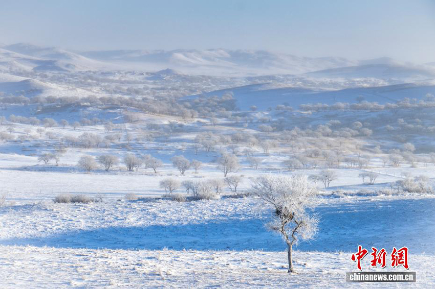 Силиньгол: қарлы алқаптағы тіршілік тынысы