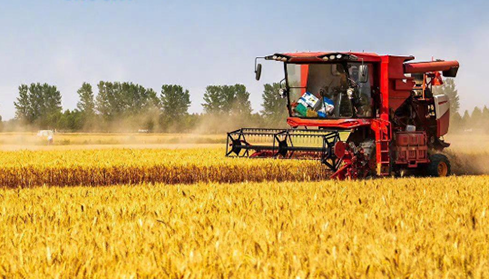 2025 жылы елімізде астық өндірудің жалпы көлемі 714,88 млн тоннаға жетті