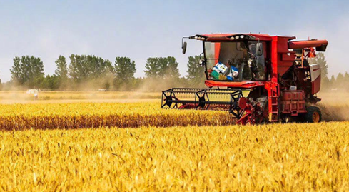 2025 жылы елімізде астық өндірудің жалпы көлемі 714,88 млн тоннаға жетті