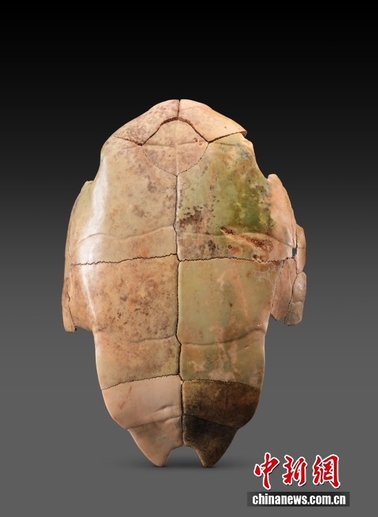 Шэньси өлкесіндегі Цинцзяньчжай аңғары қирандылары «далалық ірі археологиялық байқаулар» тізіміне таңдалды