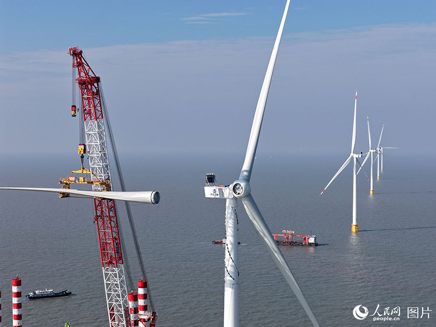 Қытайдың теңіздегі жел энергетикасы саласындағы жағалаудан ең алыс жобасы электр желісіне толық қосылды