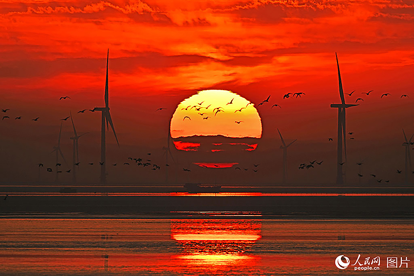 Қытайдың теңіздегі жел энергетикасы саласындағы жағалаудан ең алыс жобасы электр желісіне толық қосылды