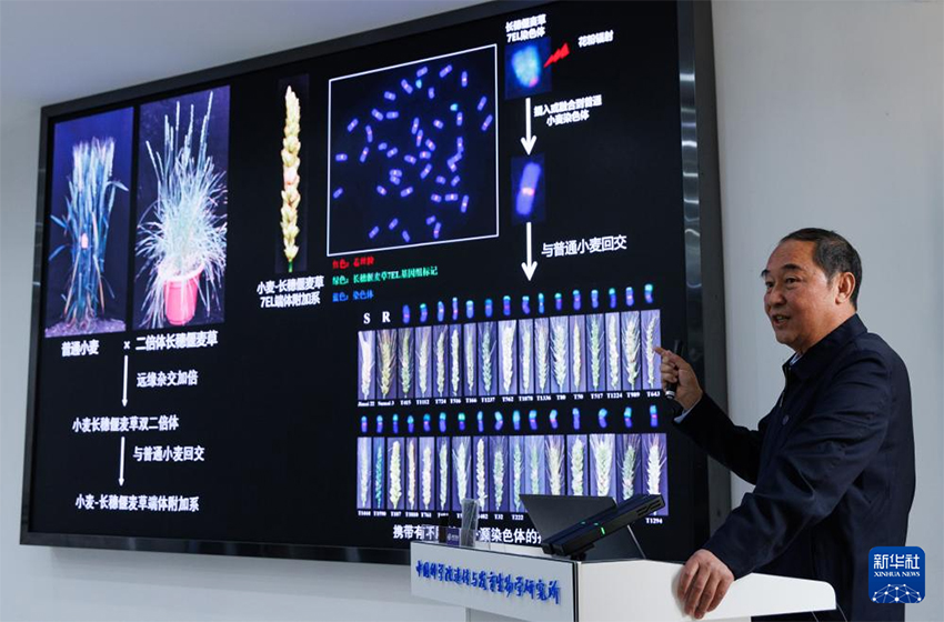 Бүкіл тізбектегі технология жетістігі – «бір тұқымды» дәл жобалау жүзеге асырылды