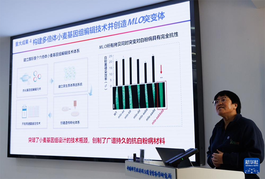 Бүкіл тізбектегі технология жетістігі – «бір тұқымды» дәл жобалау жүзеге асырылды