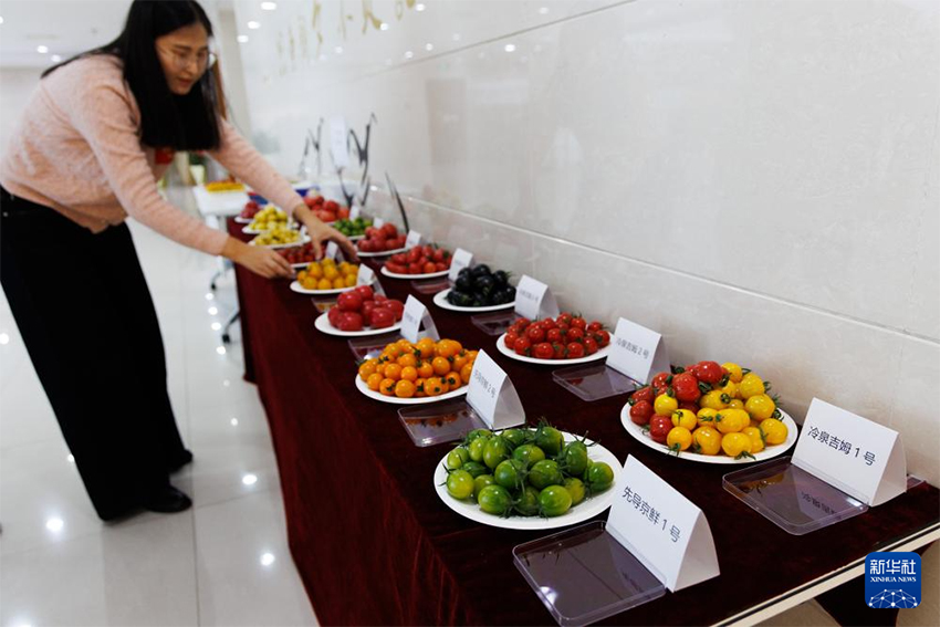 Бүкіл тізбектегі технология жетістігі – «бір тұқымды» дәл жобалау жүзеге асырылды