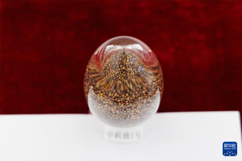 Бүкіл тізбектегі технология жетістігі – «бір тұқымды» дәл жобалау жүзеге асырылды