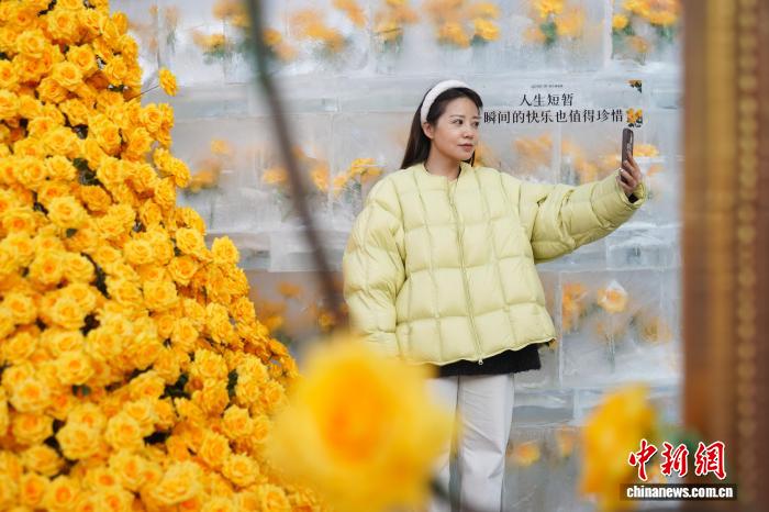 Хэйлунцзян өлкесінің Харбин қаласында «мұздатылған раушан» гүлдеді
