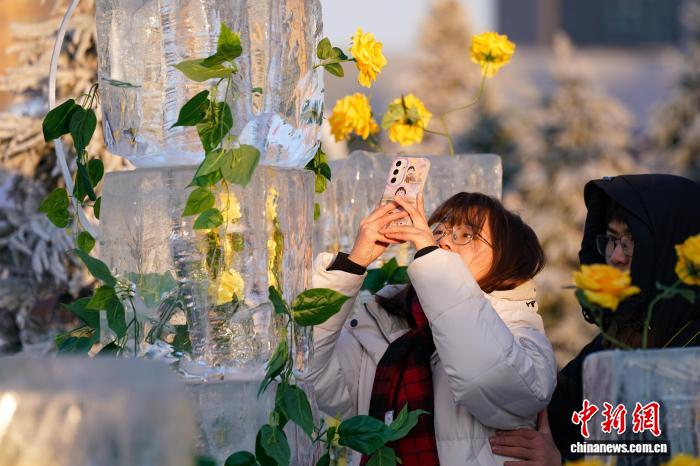 Хэйлунцзян өлкесінің Харбин қаласында «мұздатылған раушан» гүлдеді