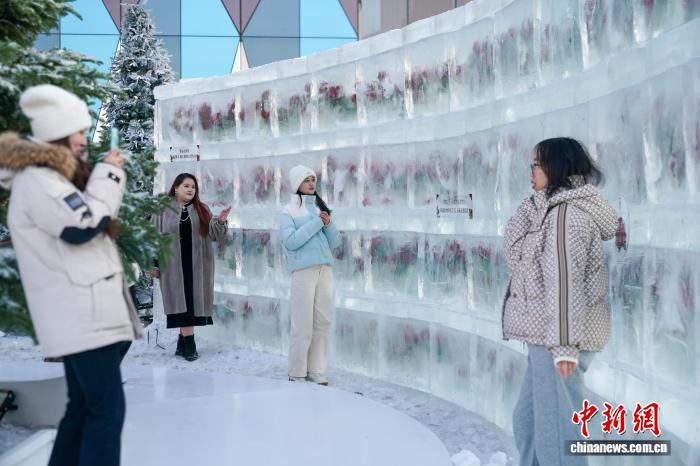 Хэйлунцзян өлкесінің Харбин қаласында «мұздатылған раушан» гүлдеді