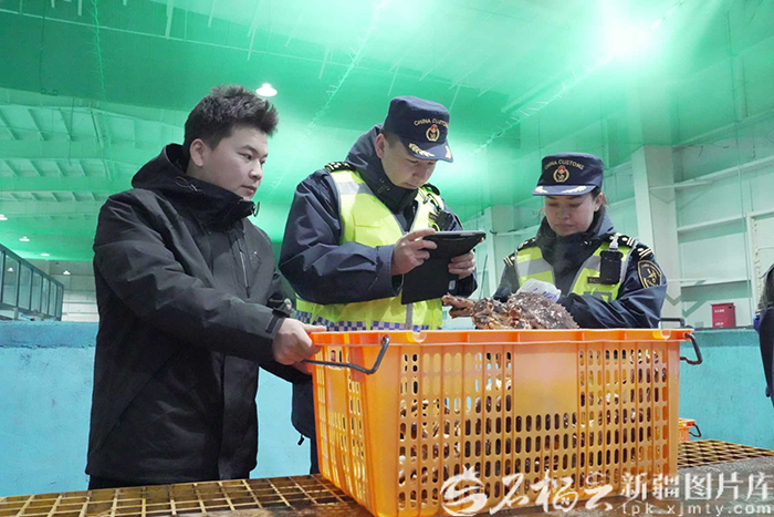 Биыл Жеменей портында камчатка шаяндарының импорттық құны алғаш рет 100 миллион юаньнан асты