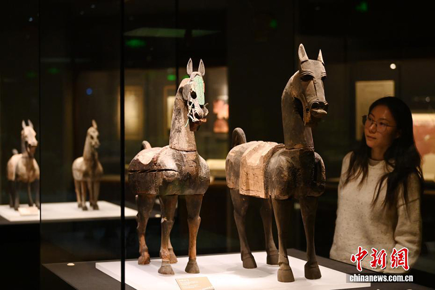 Ганьсу өлкесінің мұражайындағы Жібек жолының жылқы мәдениеті көрмесі