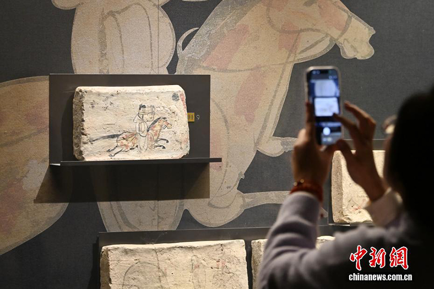 Ганьсу өлкесінің мұражайындағы Жібек жолының жылқы мәдениеті көрмесі