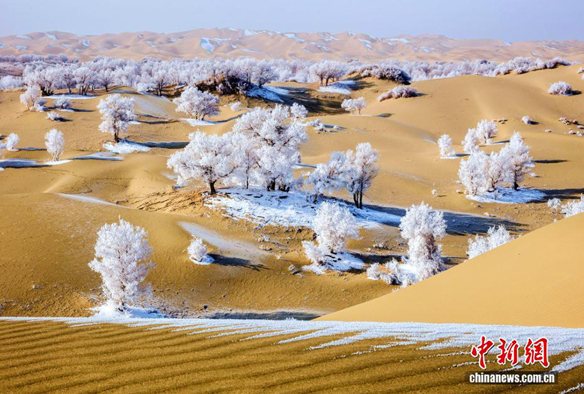 Қар астындағы Такламакан шөлі