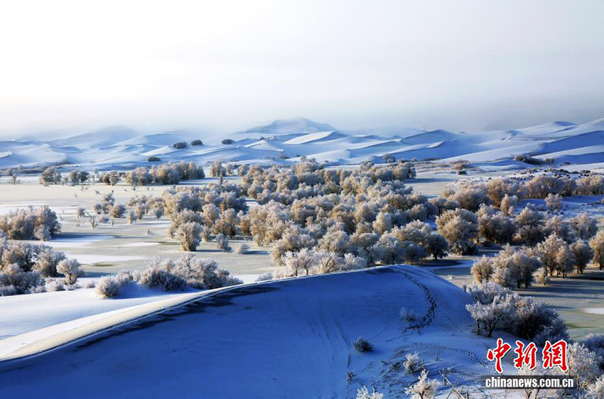 Қар астындағы Такламакан шөлі