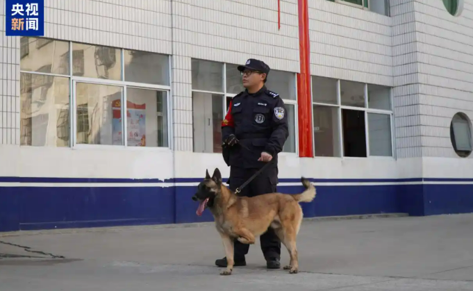 Үш аяқты күшік полиция итіне айналды