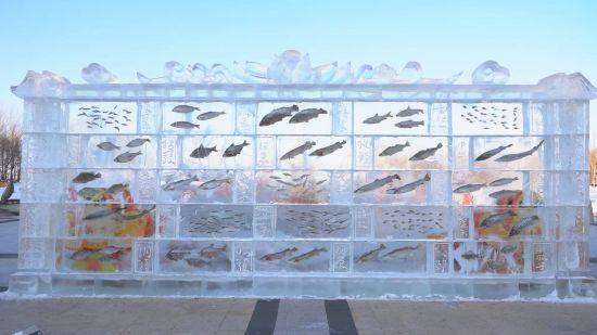 Хэйлунцзян өлкесінің Тунцзян қаласы мұз ішіндегі балық қорғанын соқты