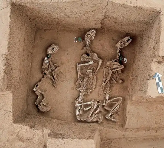 Қытай археологтары 3000 жыл бұрынғы «сафари паркін» тапты