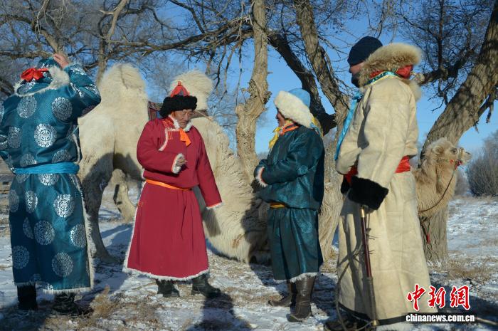 Хуншандак құм қойнауындағы малшылар әсем түйе байқауын өткізді