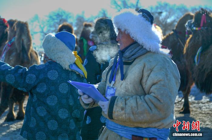 Хуншандак құм қойнауындағы малшылар әсем түйе байқауын өткізді