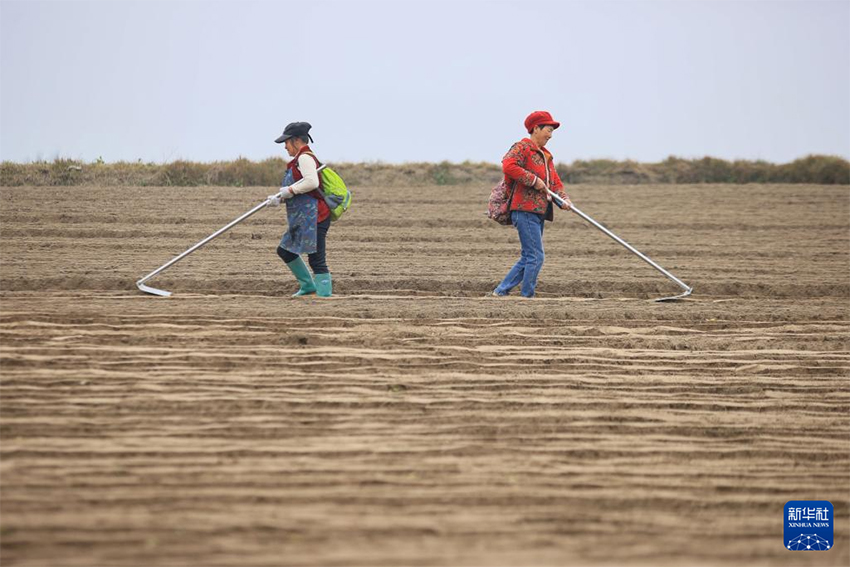 Көктем басы: Атыздарға себілген үміттің дәні