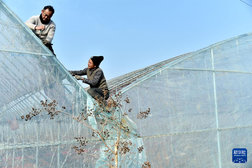 Көктем басы: Атыздарға себілген үміттің дәні