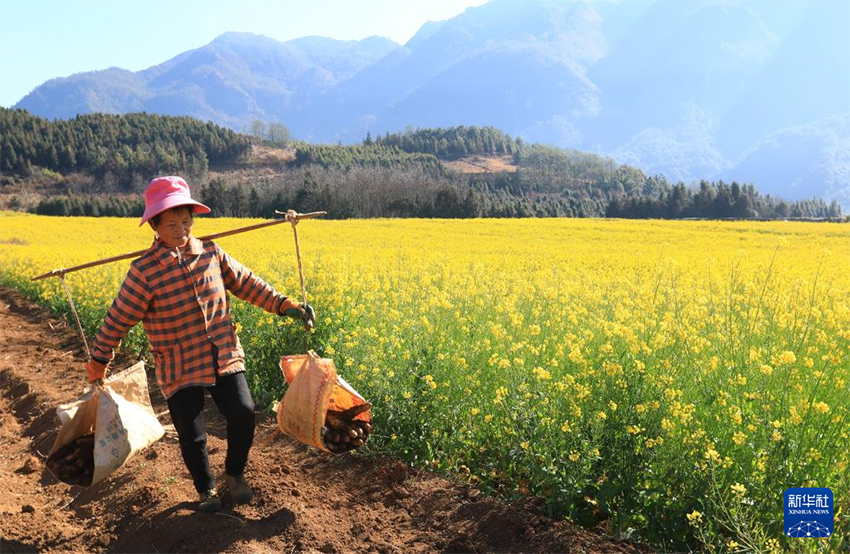 Көктем басы: Атыздарға себілген үміттің дәні