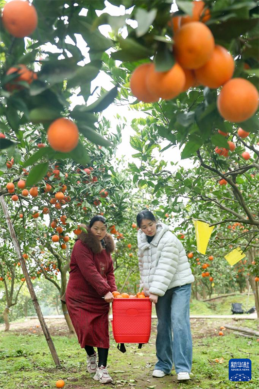 Көктем басы: Атыздарға себілген үміттің дәні