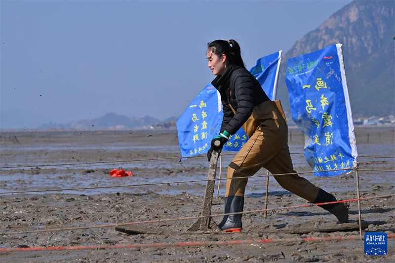Фуцзянь өлкесінің Сяпу ауданында «жылқы жол бастайтын» мәдени туризмнің жаңа кезеңі қалыптасты