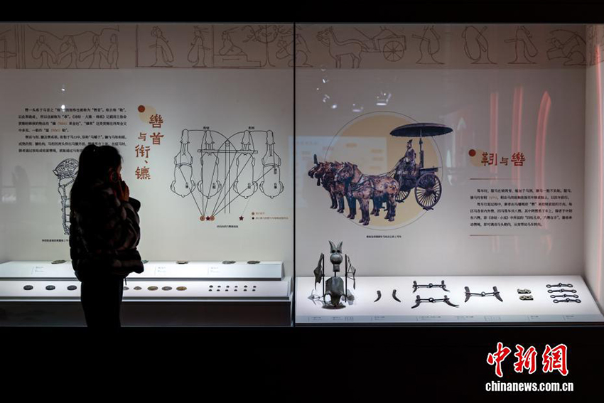 Хубэй өлкесінде 430-дан астам ат арба және қару-жарақ қалдықтары табылды