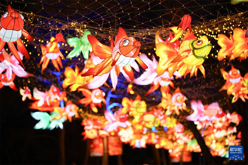 Бейжің: Юаньминъюань 2026 жылғы мерекелік Шамдар фестивалін бастады