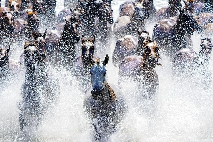 Шыңжаңның Моңғұлкүресі — жылқы түлігіне бай аудан