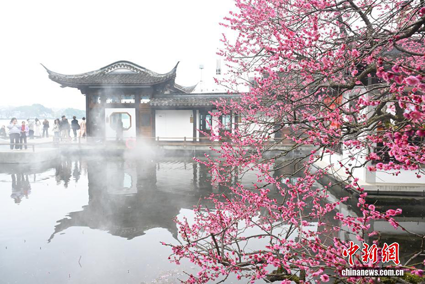 Ханчжоудың Сиху көліндегі көктем көрінісі келушілерді тәнті етті