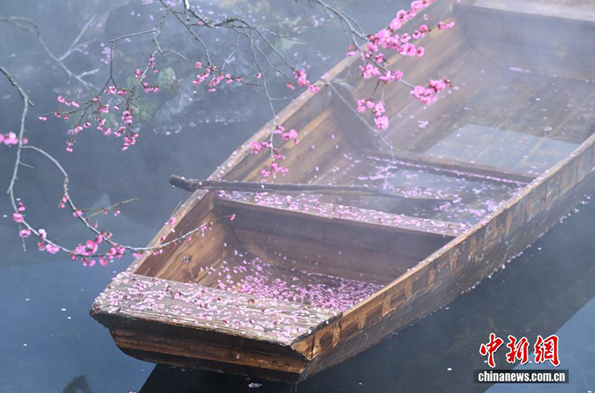 Ханчжоудың Сиху көліндегі көктем көрінісі келушілерді тәнті етті