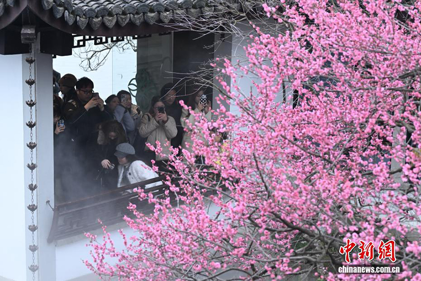 Ханчжоудың Сиху көліндегі көктем көрінісі келушілерді тәнті етті