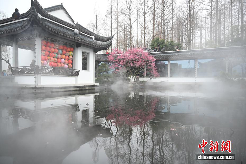 Ханчжоудың Сиху көліндегі көктем көрінісі келушілерді тәнті етті