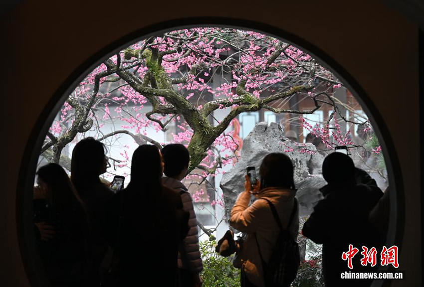 Ханчжоудың Сиху көліндегі көктем көрінісі келушілерді тәнті етті