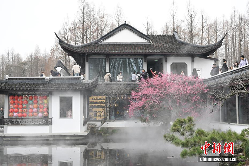 Ханчжоудың Сиху көліндегі көктем көрінісі келушілерді тәнті етті